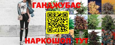 гидра Нальчик