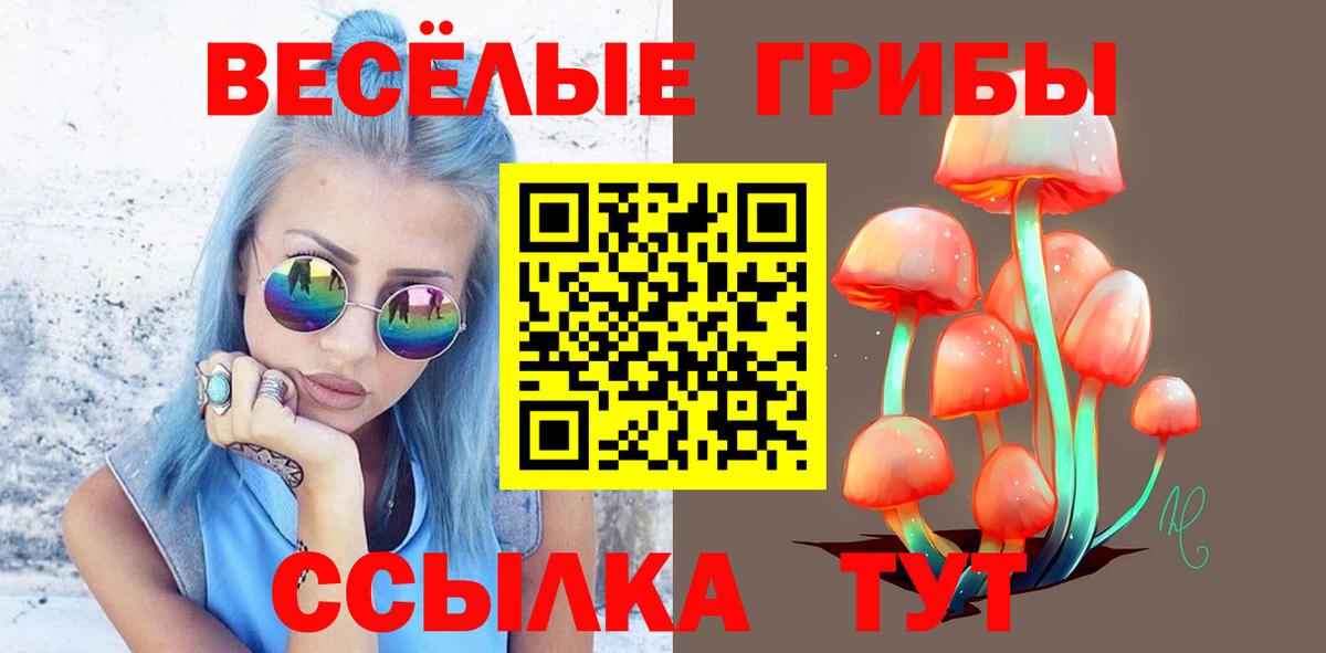 Псилоцибиновые грибы мицелий Туймазы