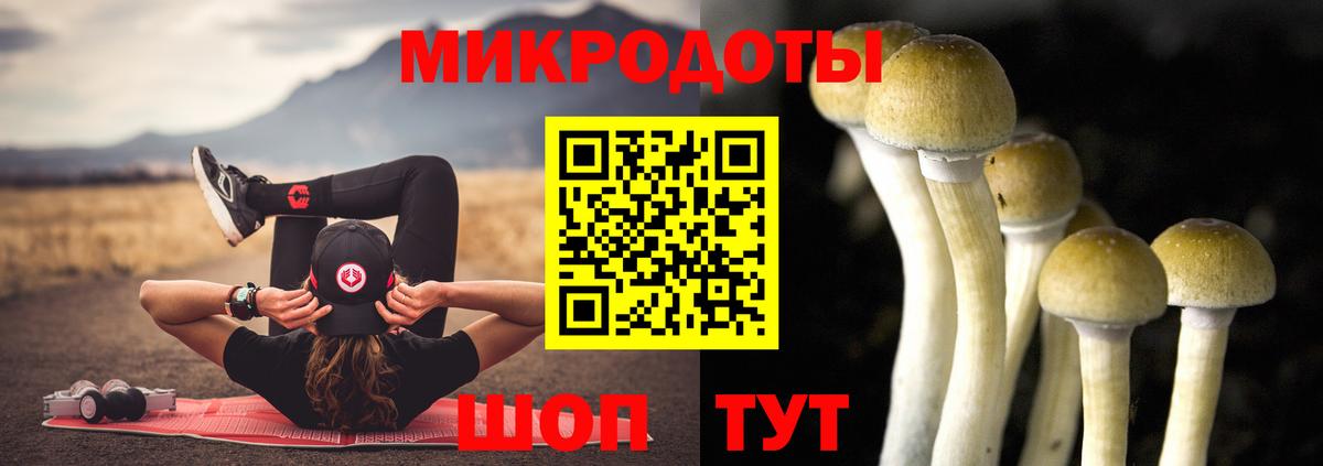 Псилоцибиновые грибы Psilocybine cubensis  Псилоцибиновые грибы GOLDEN TEACHER  Вход с VPN  Туймазы 